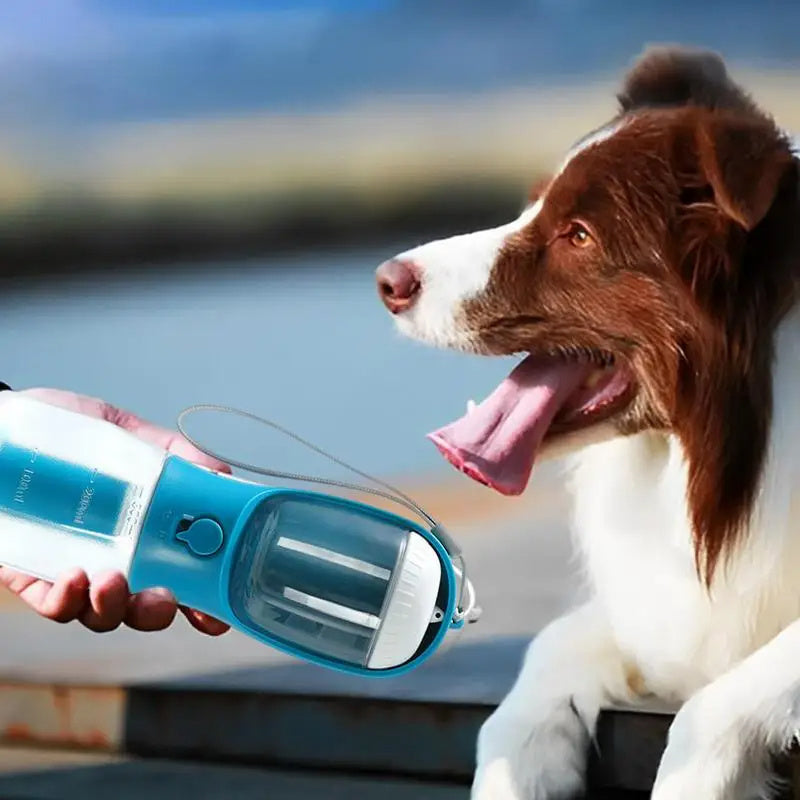 Dog Water Cup Drinking Food Garbage Bag Three-in-one Portable Small Multi-functional Pet Cups - Haven Home Goods