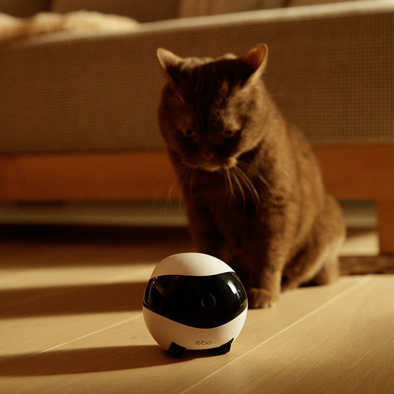 Smart Home Companion Robot Remote - Haven Home Goods