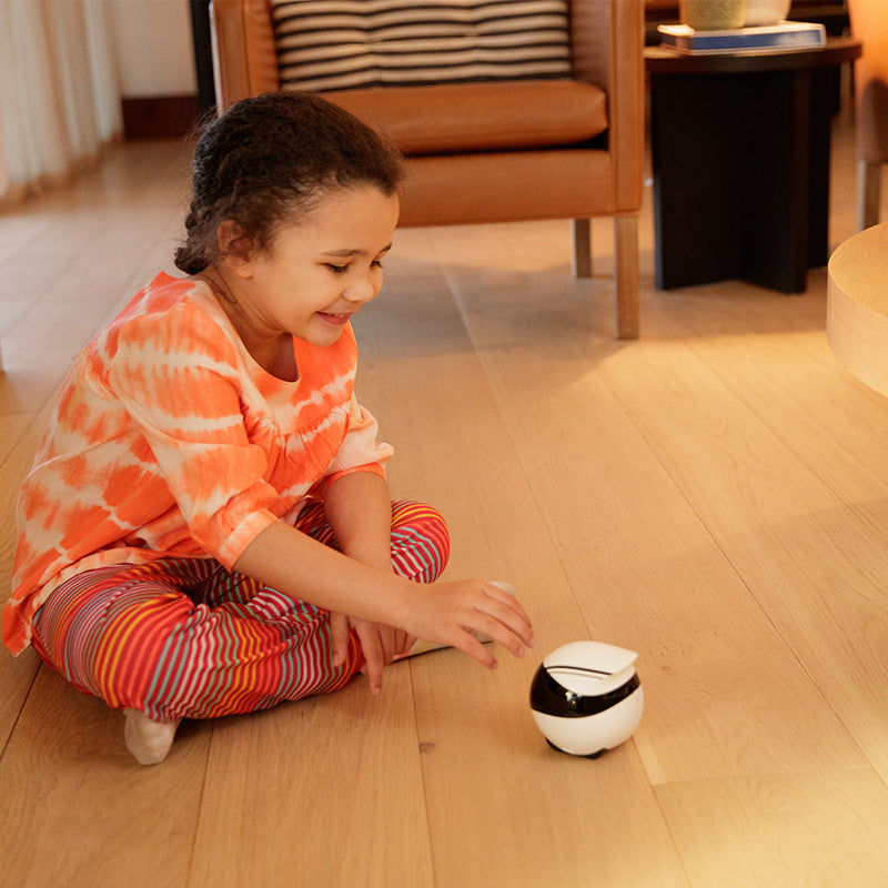 Smart Home Companion Robot Remote - Haven Home Goods