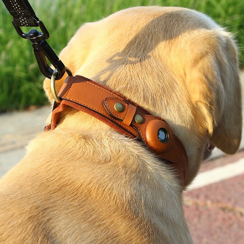 Leather AirTag Dog Collar - Haven Home Goods