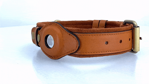 Leather AirTag Dog Collar - Haven Home Goods