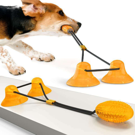 Suction Cup Pets Toys - Haven Home Goods