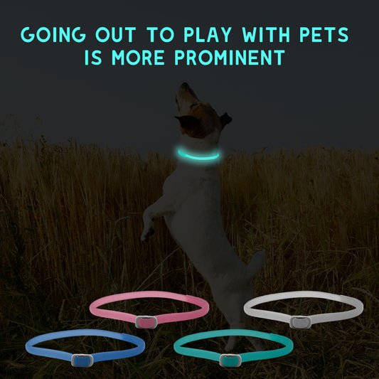 Pets Luminous Insect Repellent Dog Collar Pet Products - Haven Home Goods