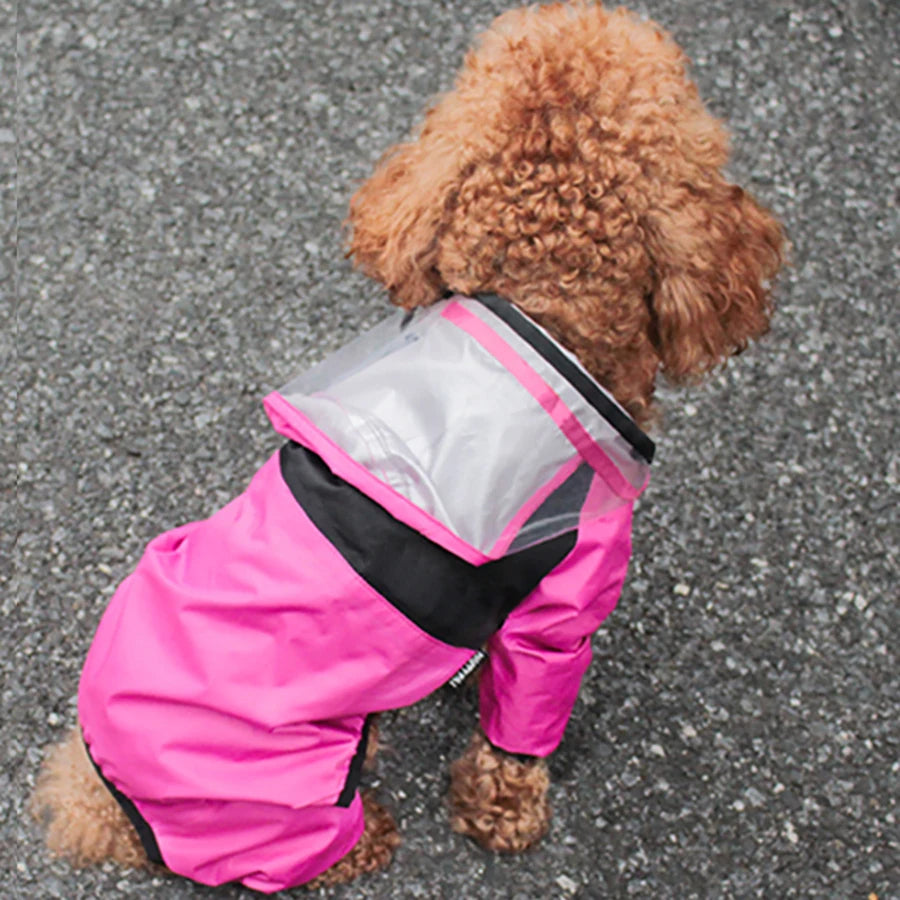 The Dog Face Raincoat for Dogs - Haven Home Goods