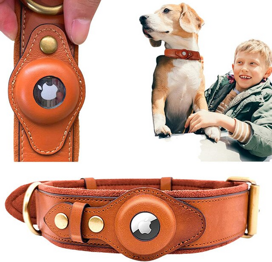 Leather AirTag Dog Collar - Haven Home Goods