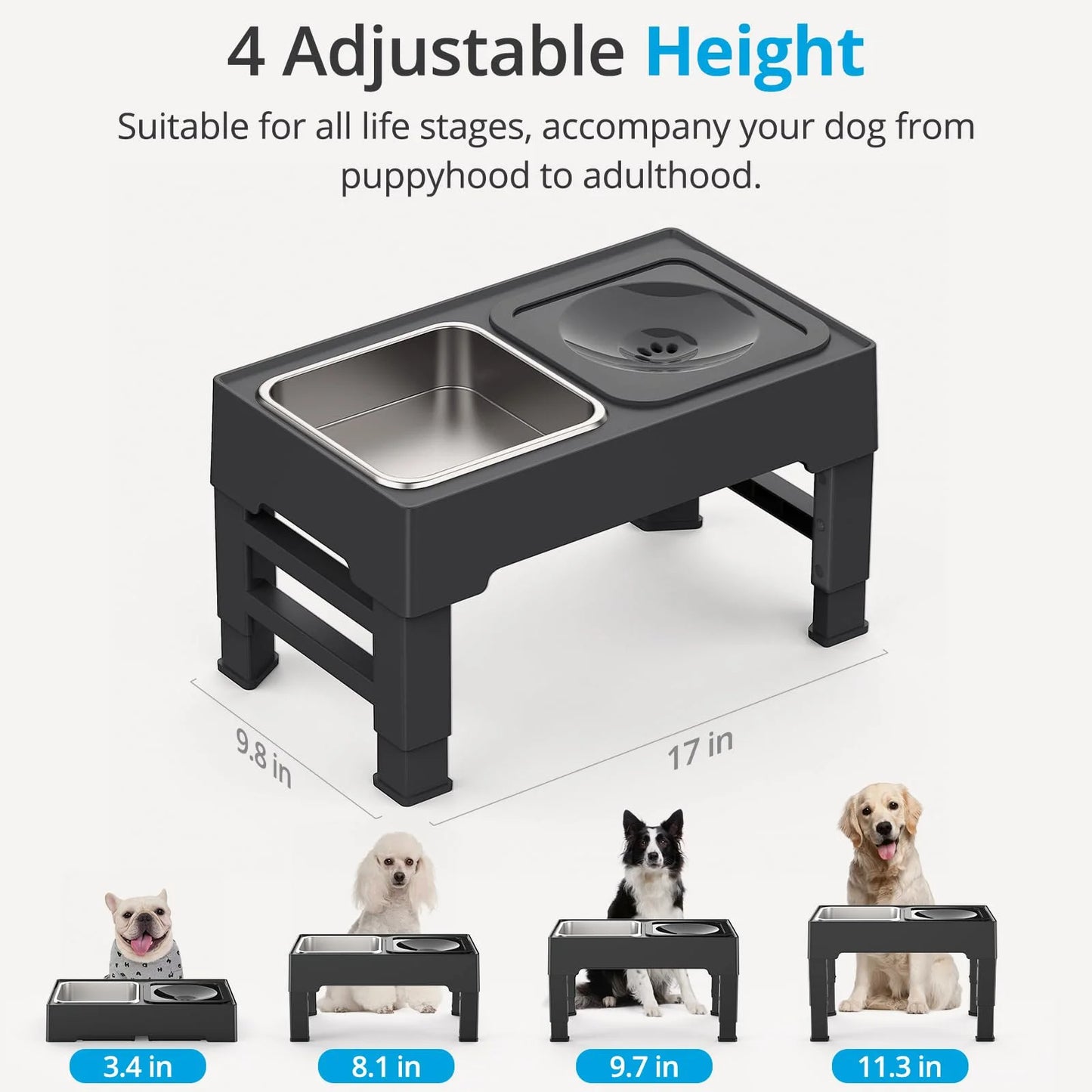 Elevated Mess-Free Dog Bowl - Haven Home Goods