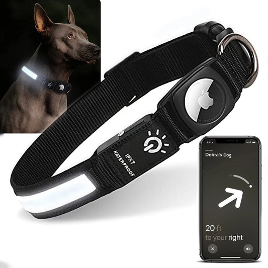 LED Dog Collar with AirTag Holder - Haven Home Goods