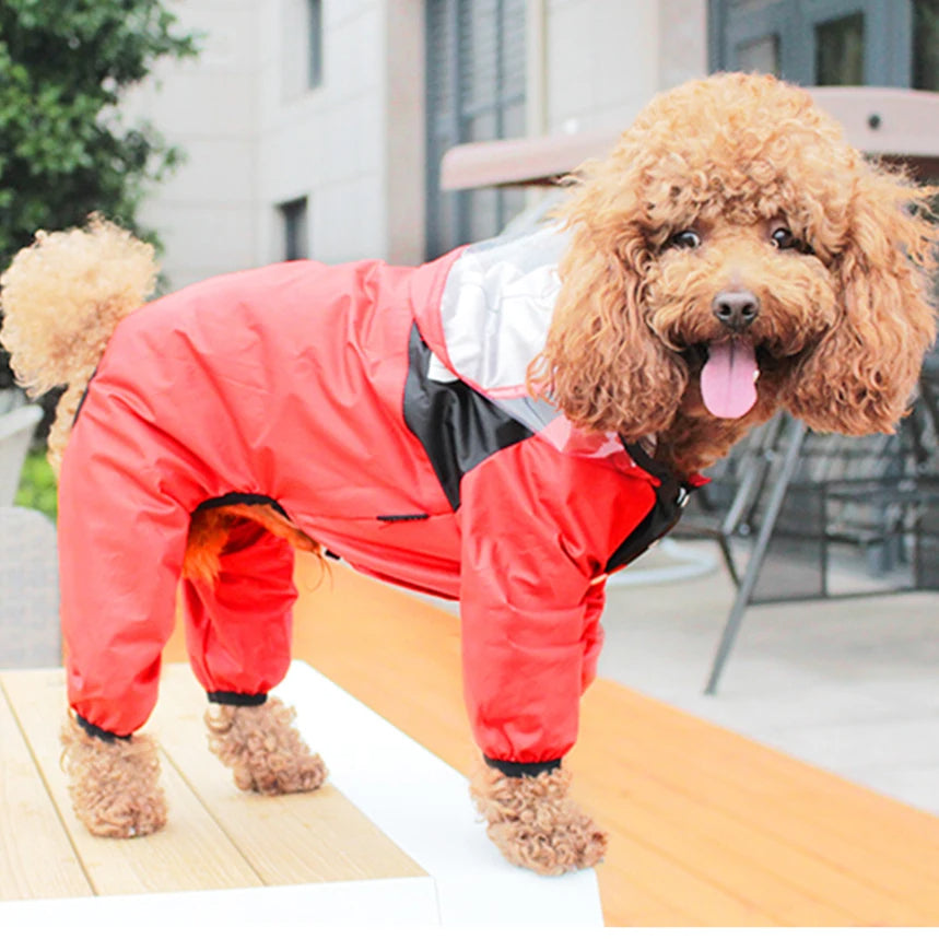 The Dog Face Raincoat for Dogs - Haven Home Goods